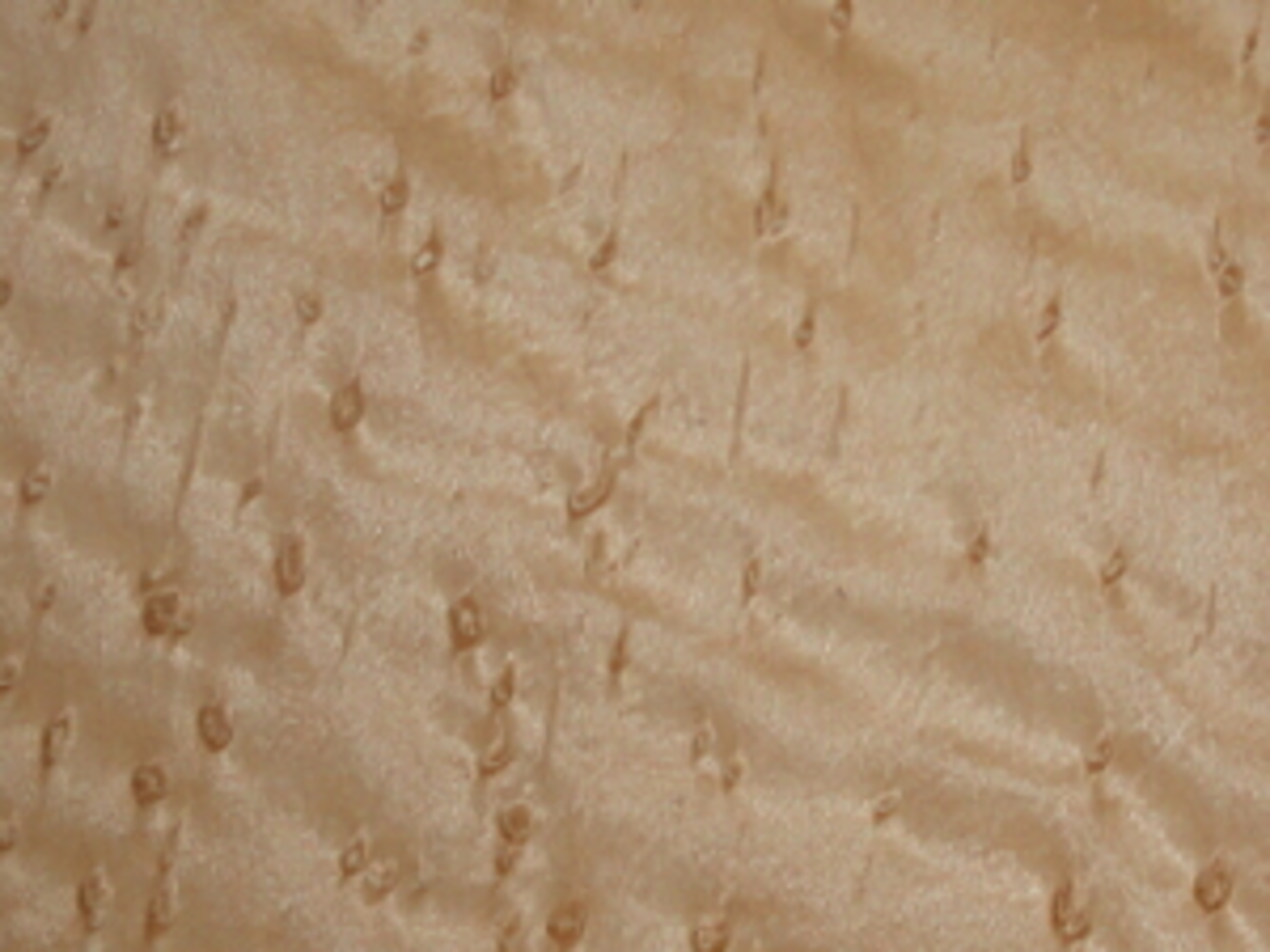 Birdseye Maple