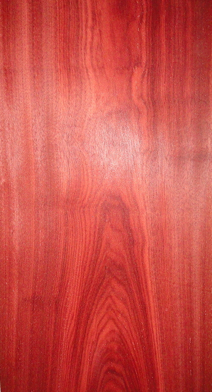 Bloodwood