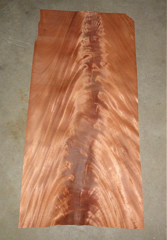 Crotch Mahogany