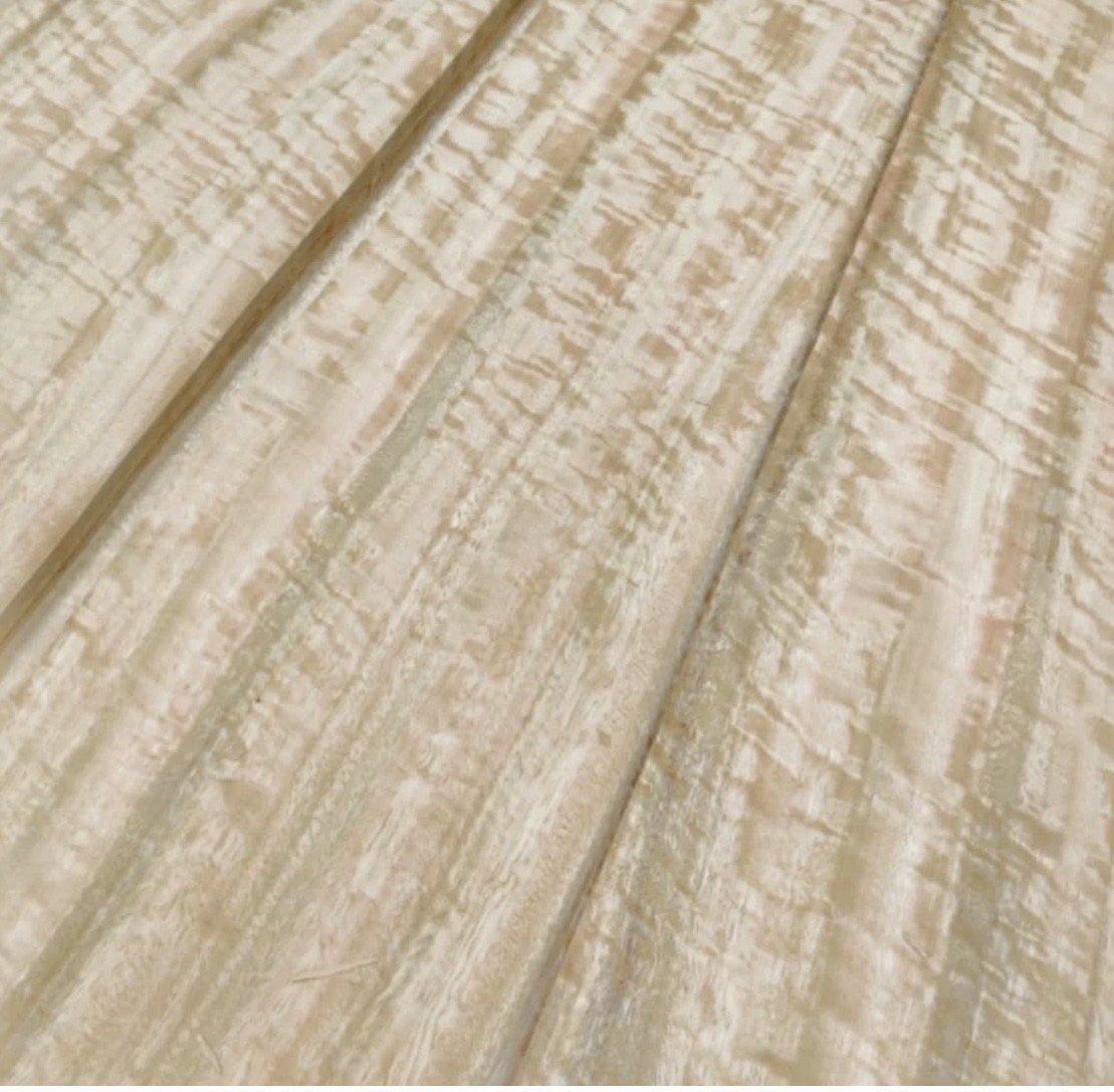 Eucalyptus Beeswing