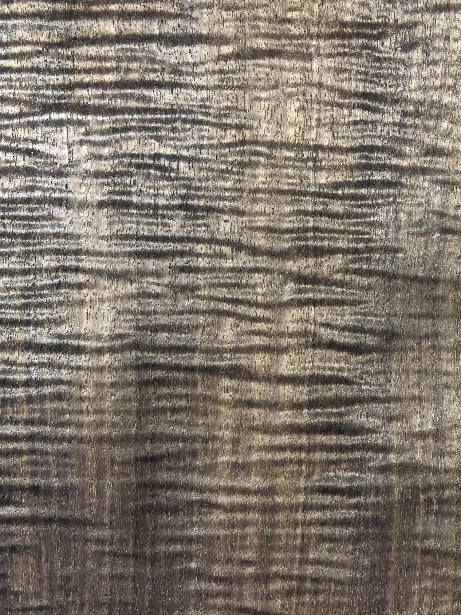 Fumed Quartered Curly Eucalyptus