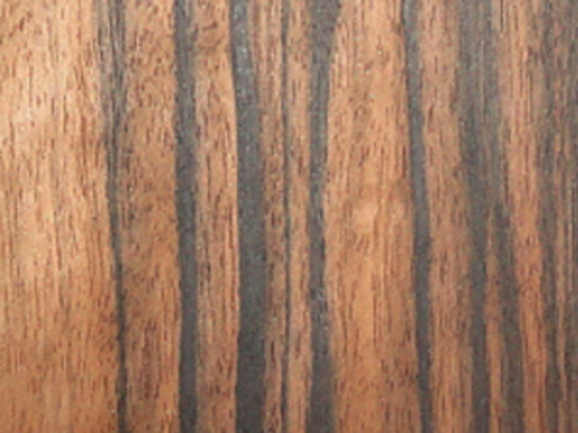 Macassar Ebony