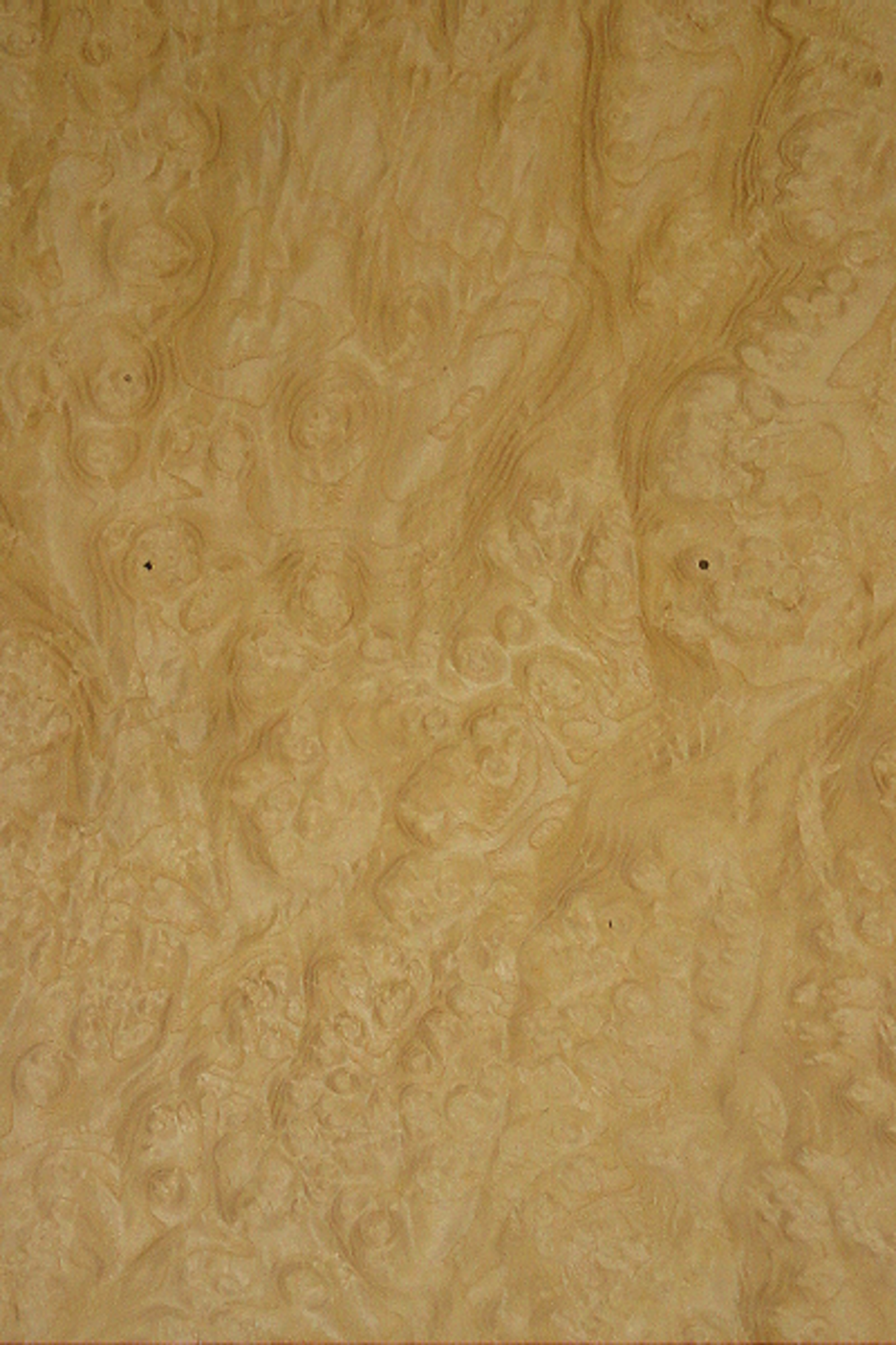 olive-ash-burl--high-figure-white-ash-burl-veneer.jpg