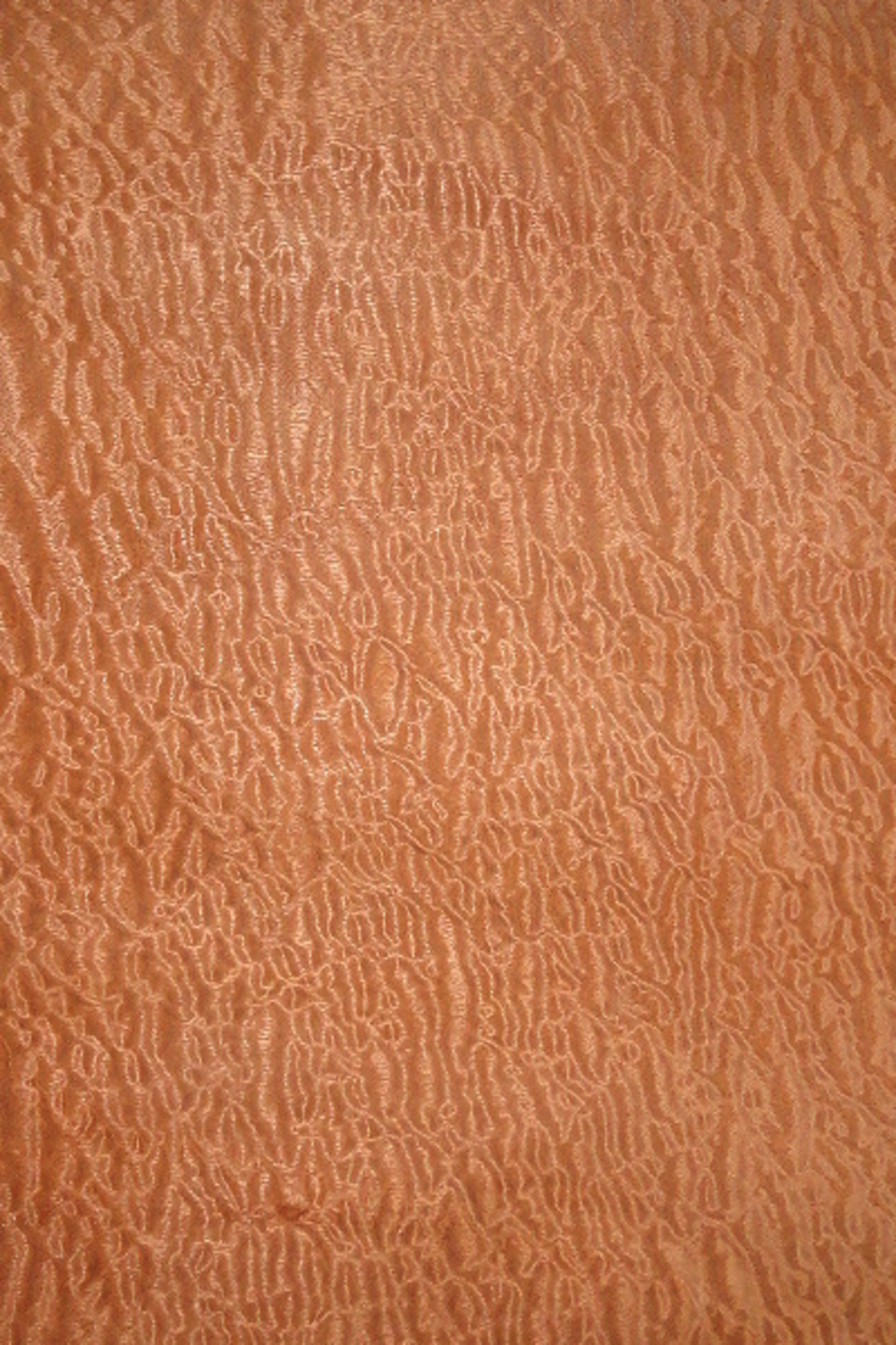 Sapele Pomelle