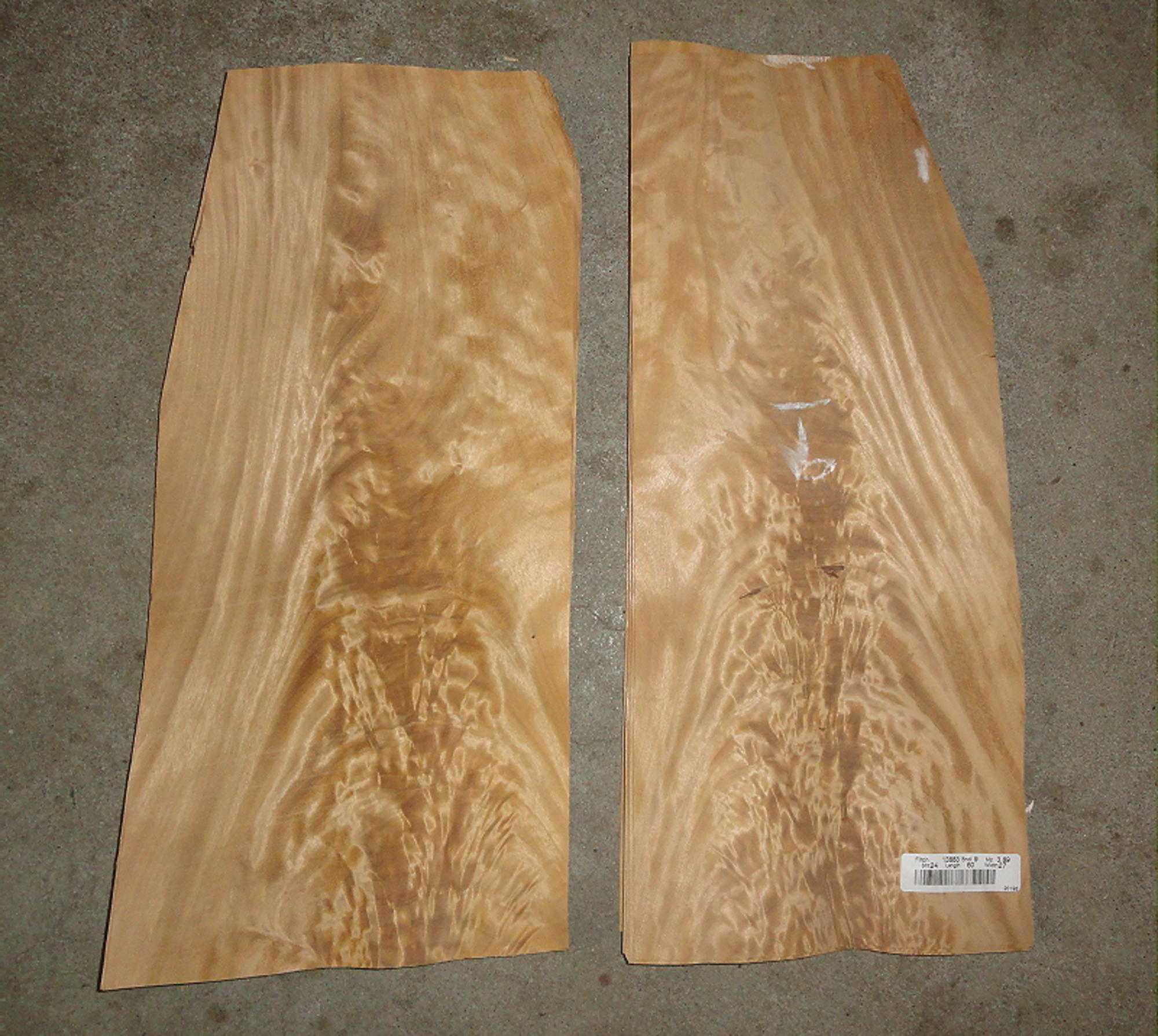 Satinwood Crotch