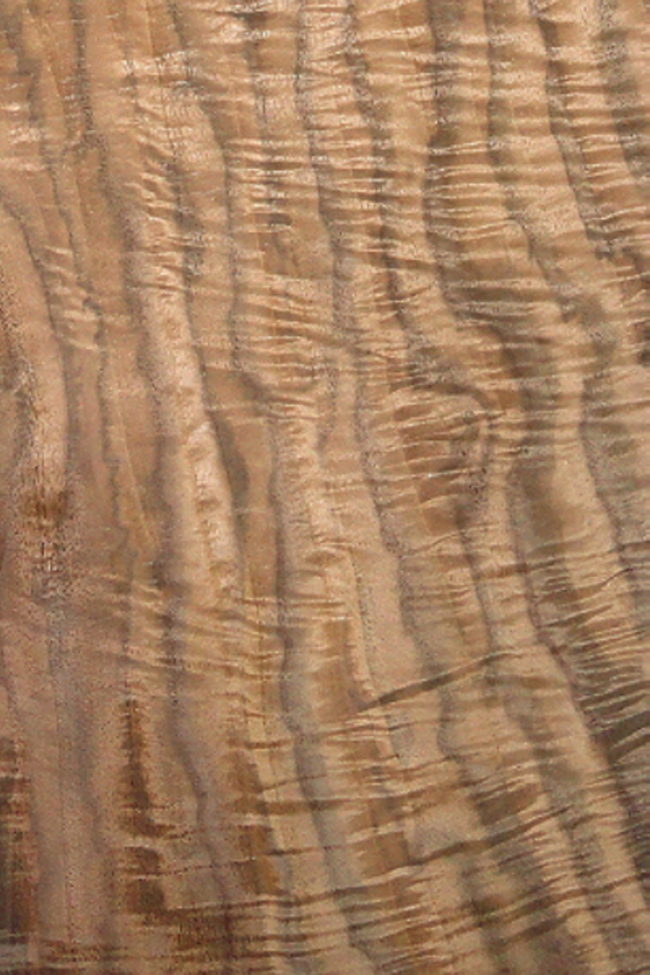 Quartered Beeswing Walnut