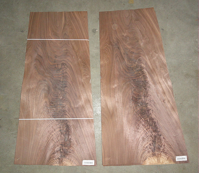 Walnut Crotch