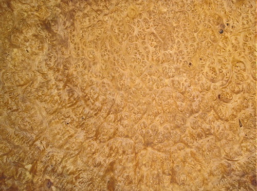 Amboyna Burl