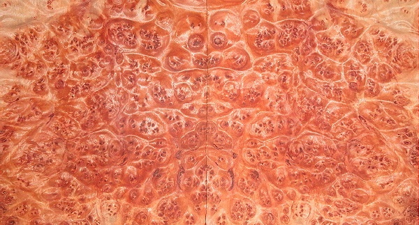 Indonesian Madrone Burl shipped to Johnson City