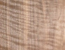 Quartered Walnut